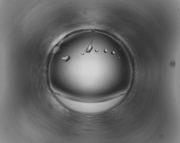 X0000112421460200908211134