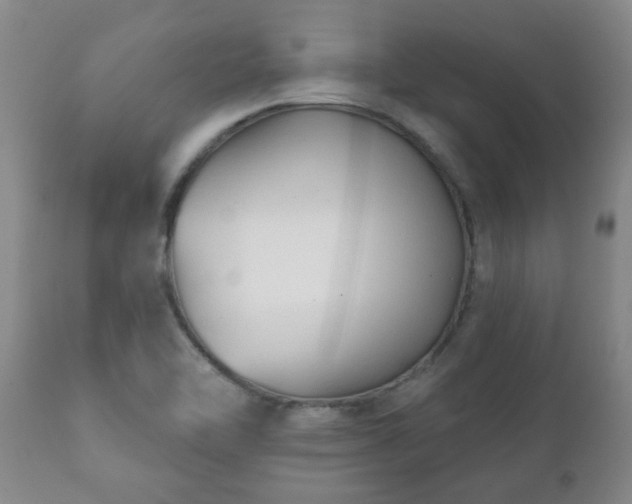 X0000112421462200908211134