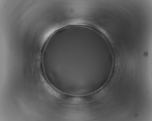 X0000112421463200908211134