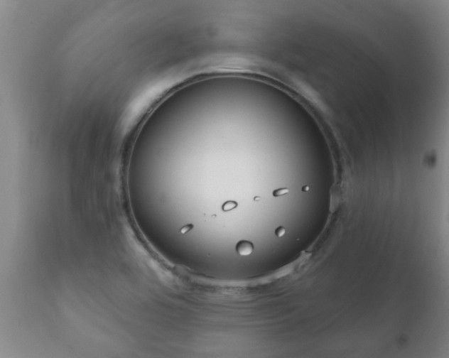 X0000112421464200908211134