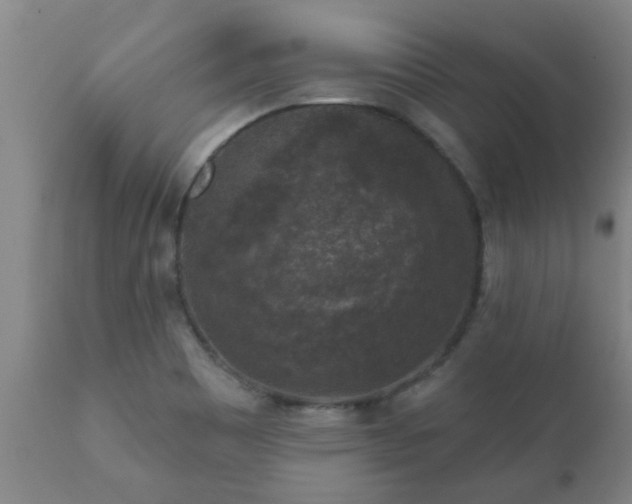 X0000112421465200908211134