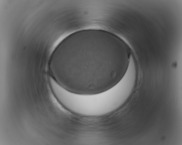 X0000112421468200908211134