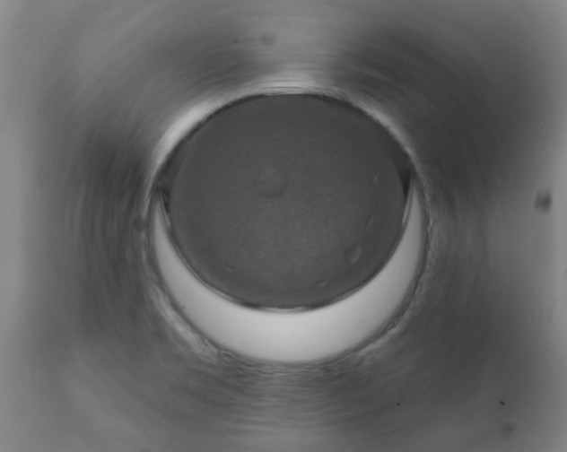 X0000112421469200908211134