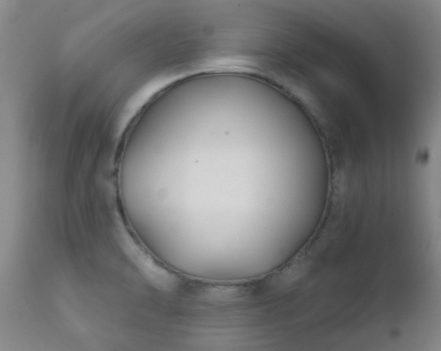 X0000112421470200908211134