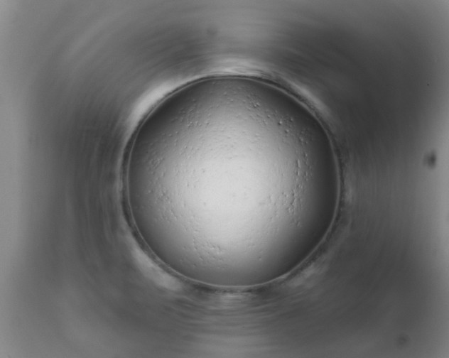 X0000112421471200908211134