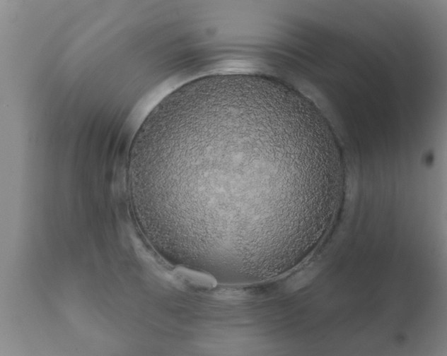 X0000112421473200908211134