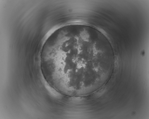 X0000112421474200908211134