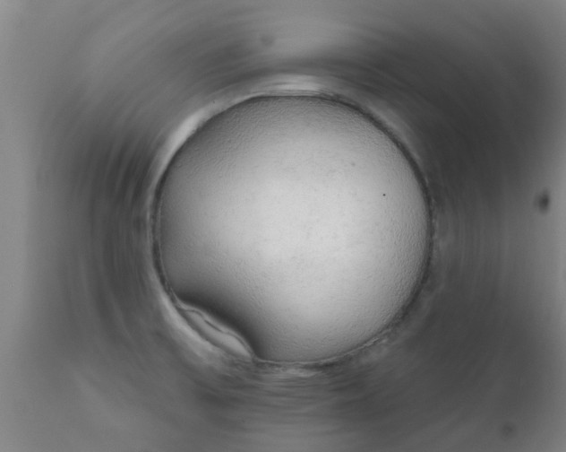 X0000112421475200908211134