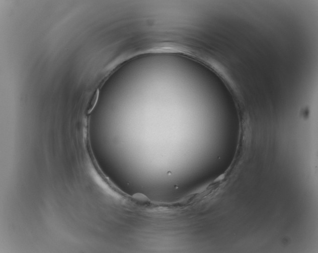 X0000112421476200908211134