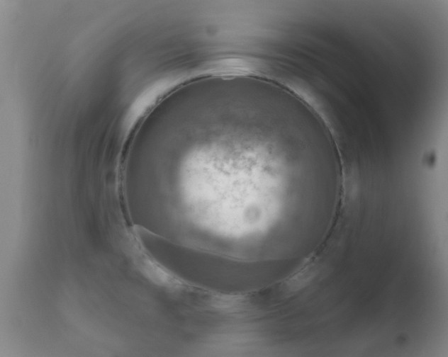 X0000112421477200908211134