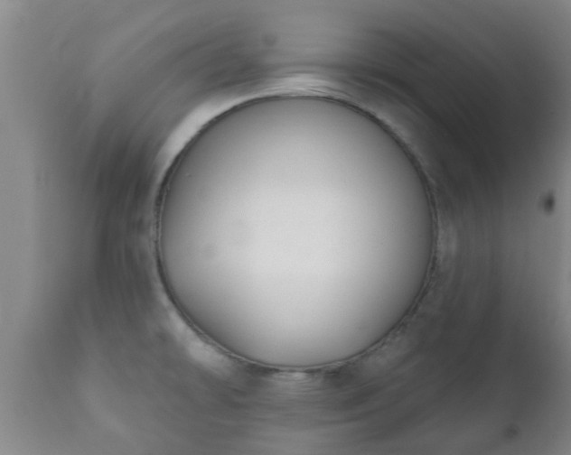 X0000112421478200908211134