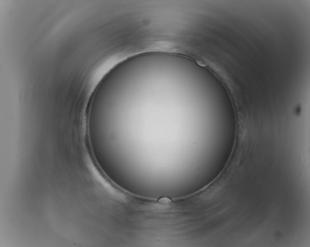 X0000112421479200908211134