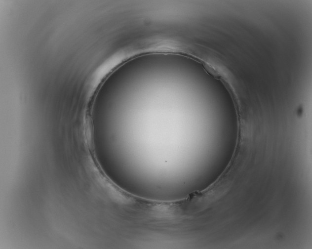 X0000112421480200908211134