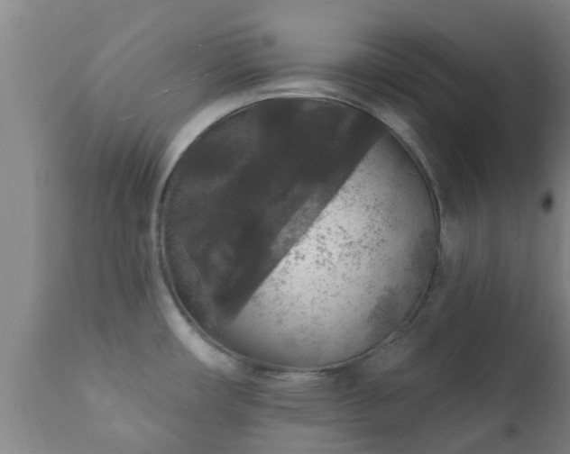 X0000112421482200908211134