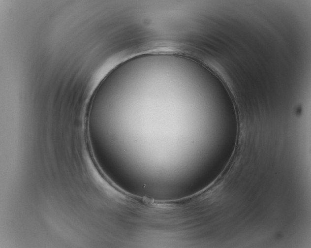 X0000112421483200908211134