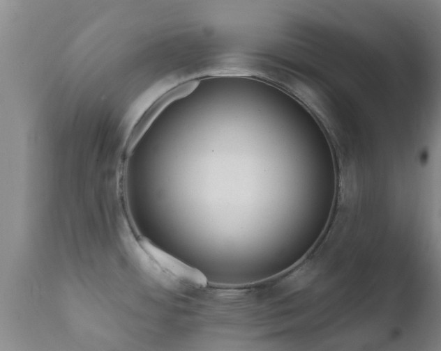 X0000112421484200908211134