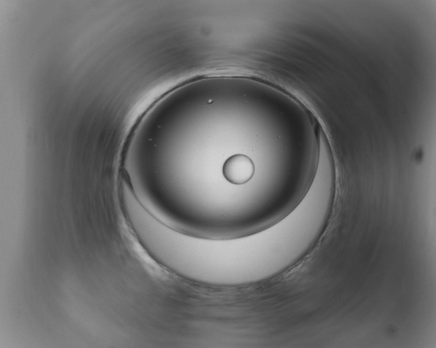 X0000112421485200908211134