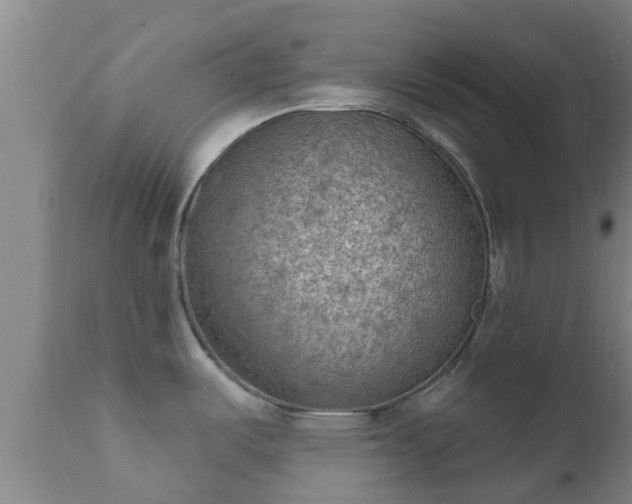 X0000112421487200908211134