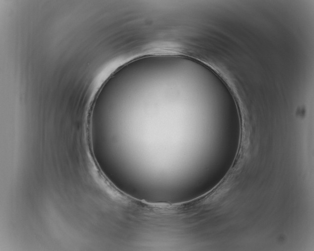 X0000112421488200908211134