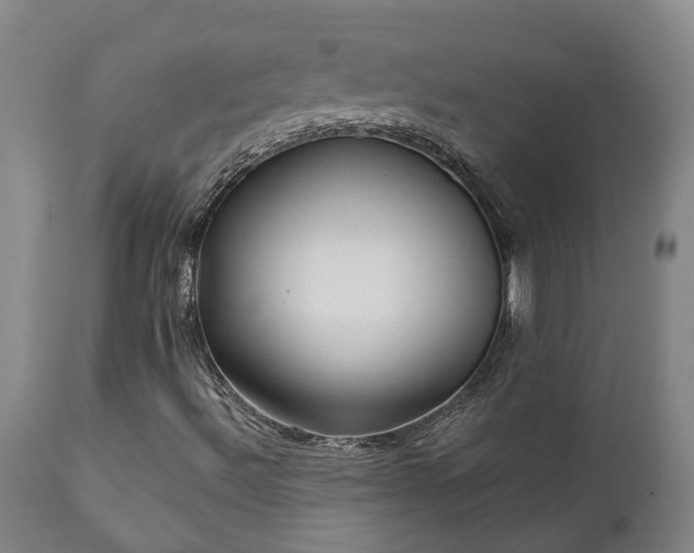 X0000112421492200908211133