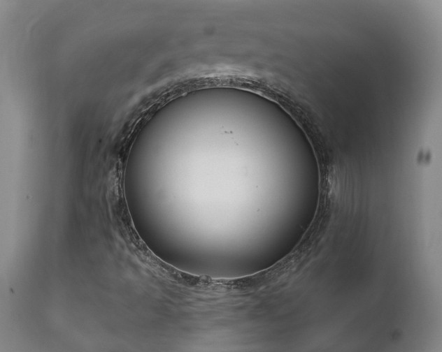 X0000112421493200908211133
