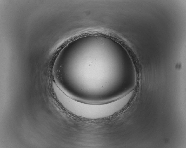 X0000112421496200908211133