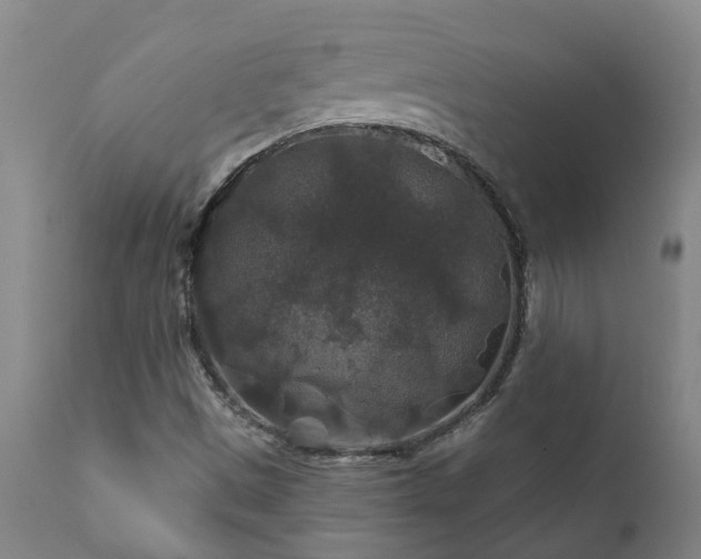 X0000112421497200908211133
