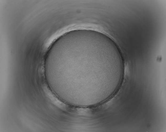 X0000112421498200908211133