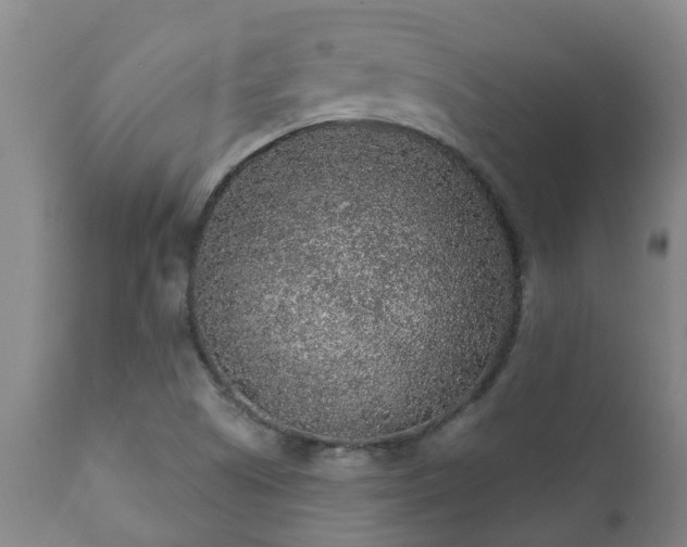 X0000112421505200908211133