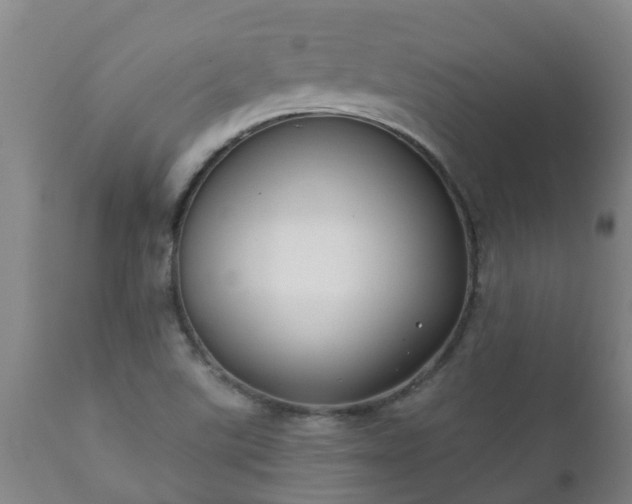 X0000112421507200908211133