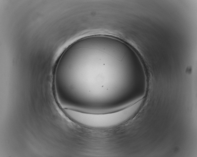 X0000112421508200908211133