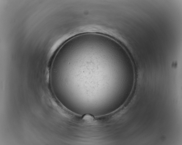 X0000112421509200908211133
