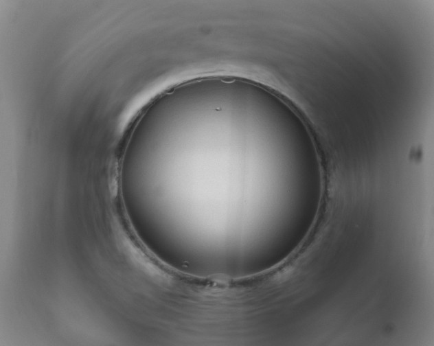 X0000112421510200908211133