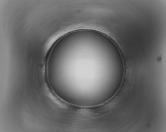 X0000112421511200908211133