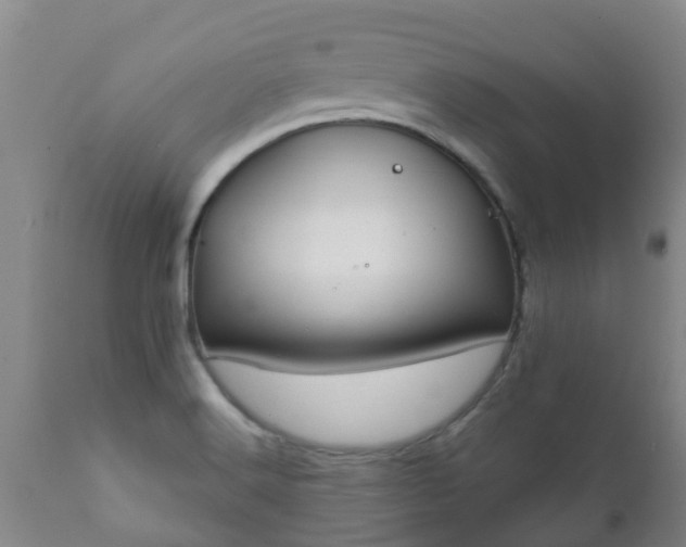X0000112421516200908211133