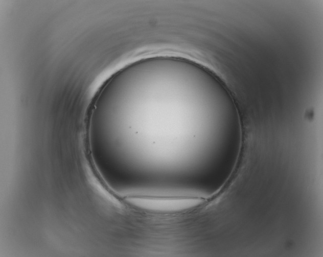 X0000112421518200908211133