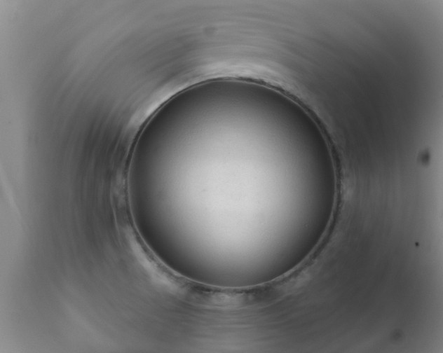 X0000112421521200908211134