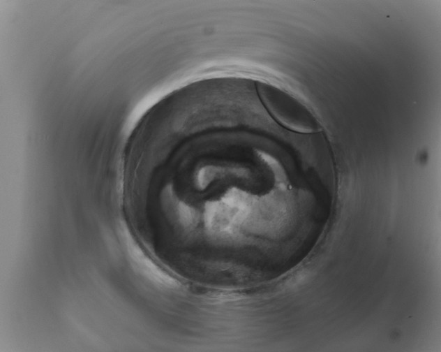 X0000112421522200908211134