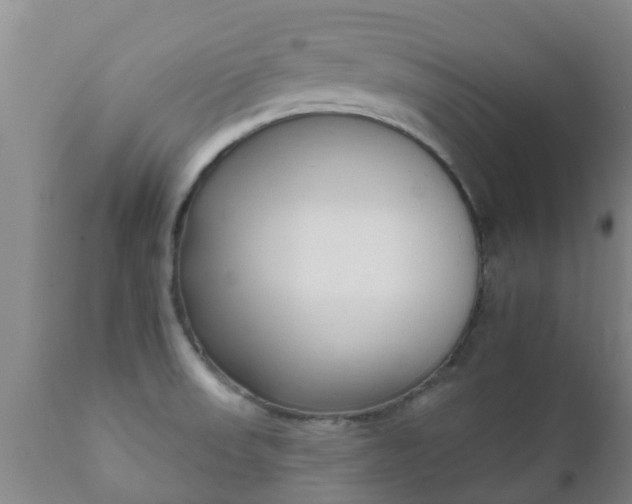 X0000112421523200908211134