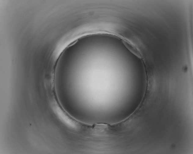 X0000112421524200908211134