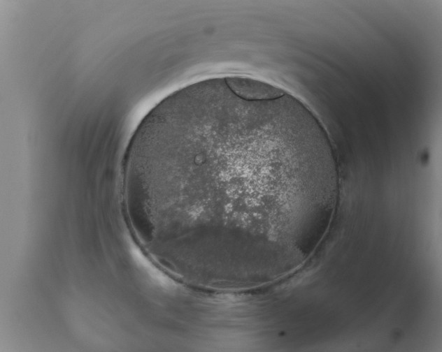 X0000112421527200908211134