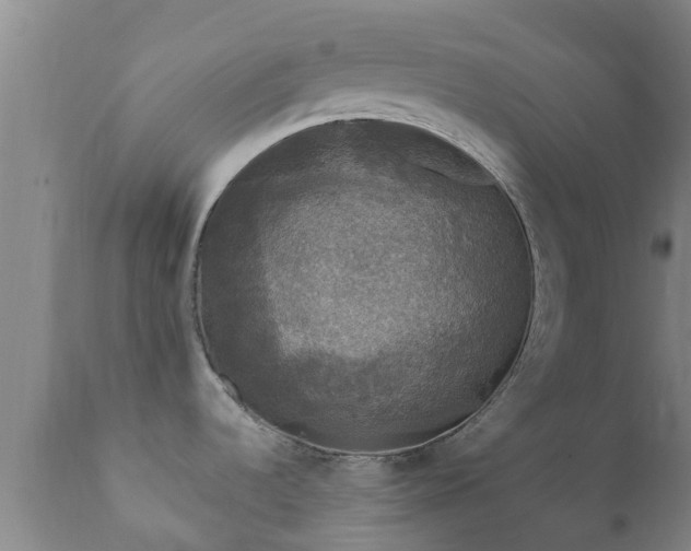 X0000112421536200908211134