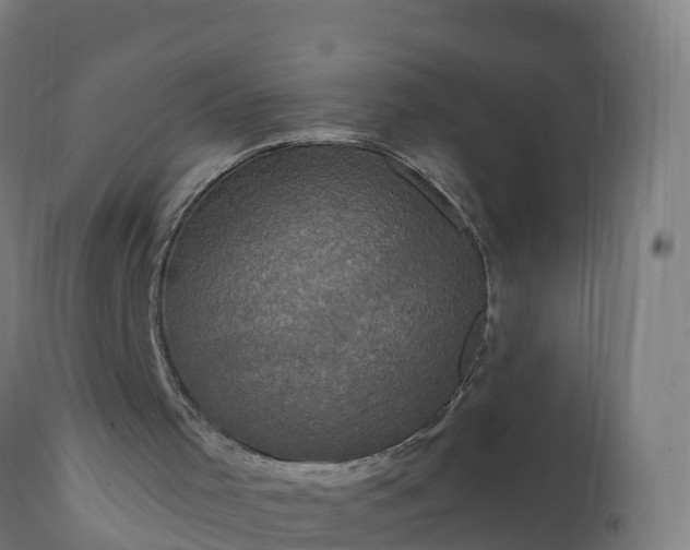 X0000112420001200908281849