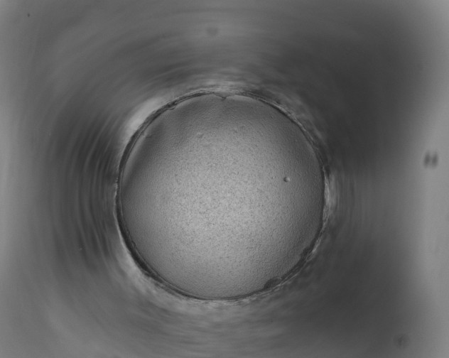 X0000112420003200908281849