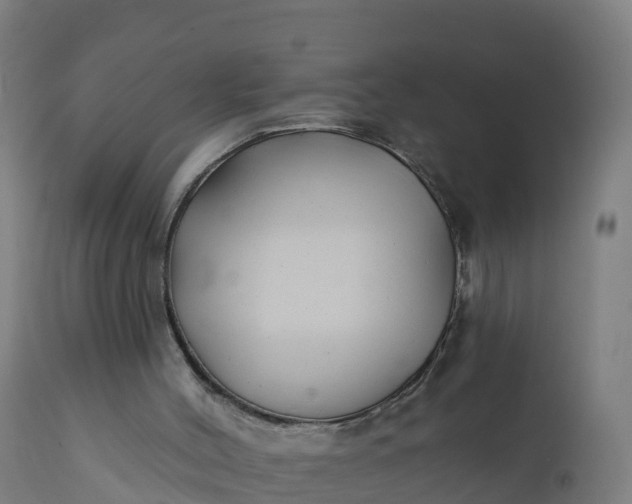 X0000112420004200908281849