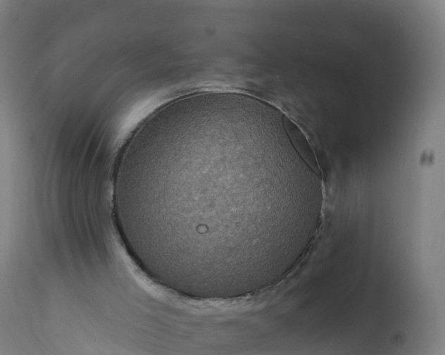 X0000112420005200908281849