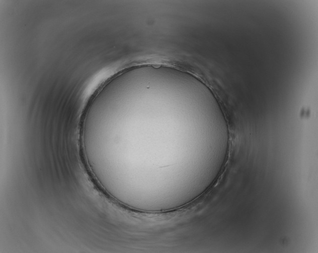 X0000112420006200908281849