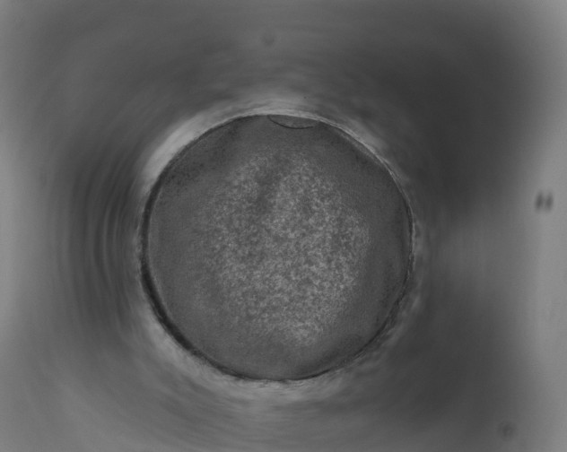 X0000112420007200908281849