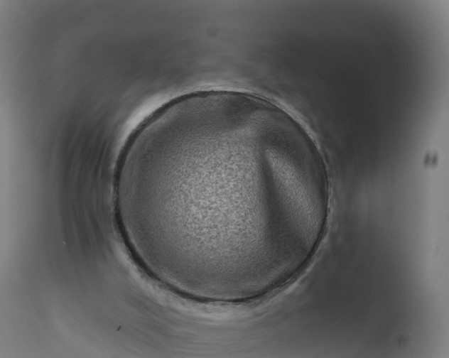 X0000112420008200908281849