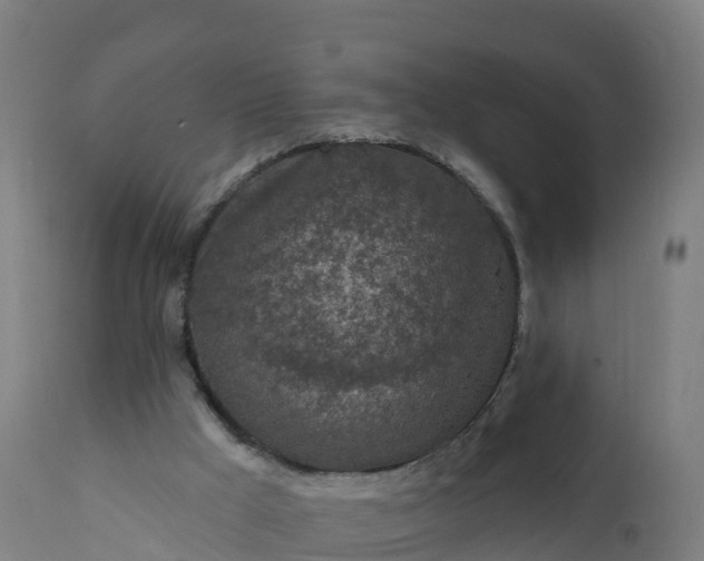 X0000112420009200908281849